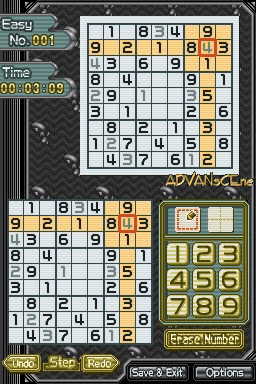 Grid screenshot 3 for Nintendo DS